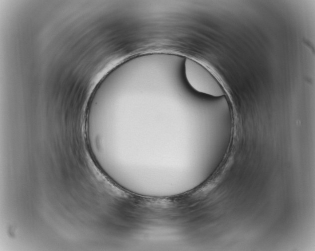 X0000101410957200807071003