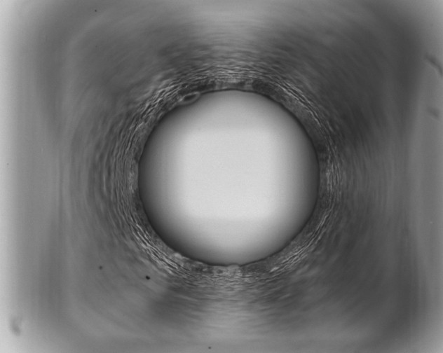 X0000101410961200807071003
