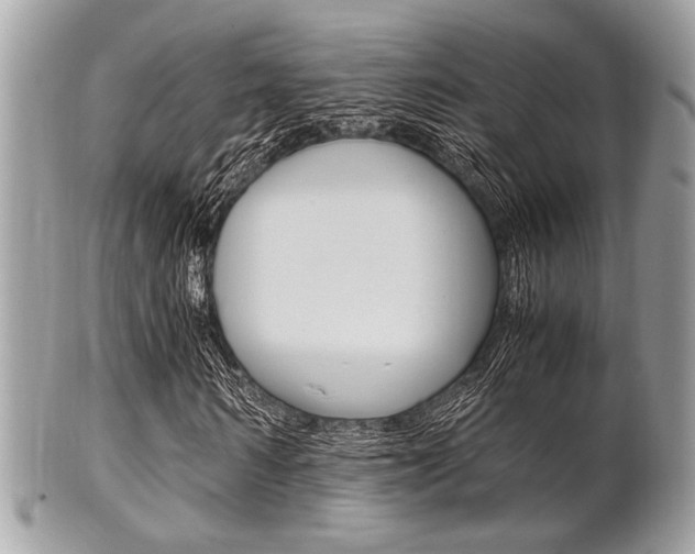 X0000101410962200807071002