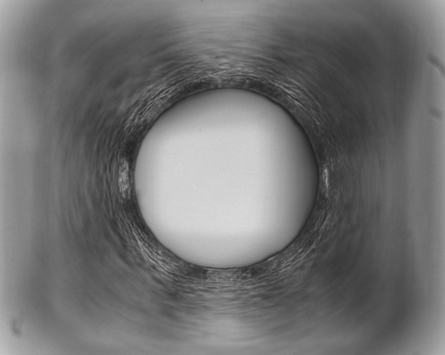 X0000101410963200807071002
