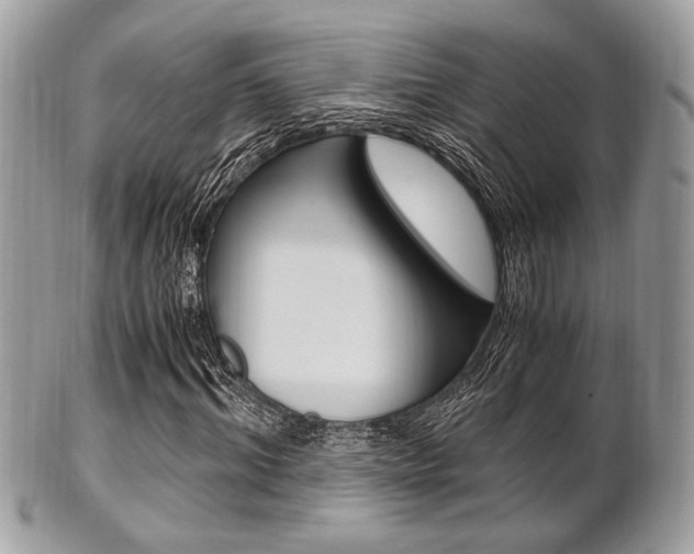 X0000101410964200807071002