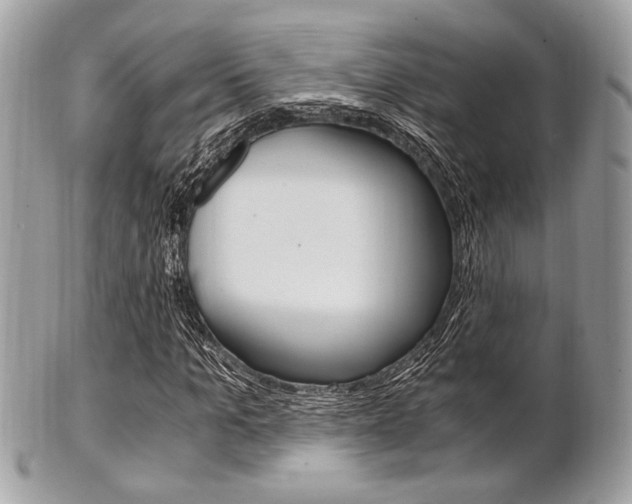 X0000101410965200807071002