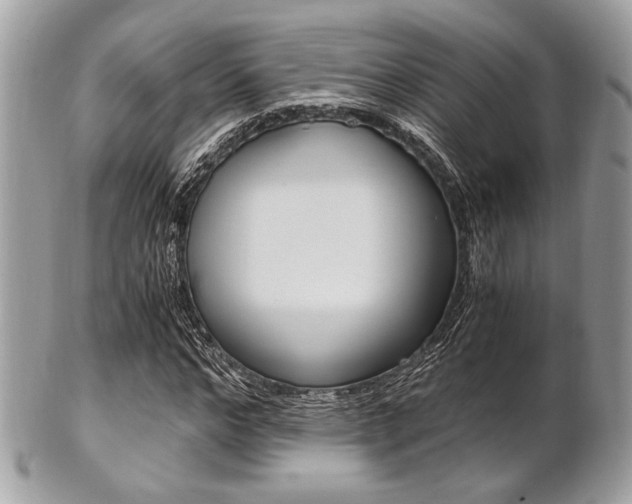 X0000101410968200807071002