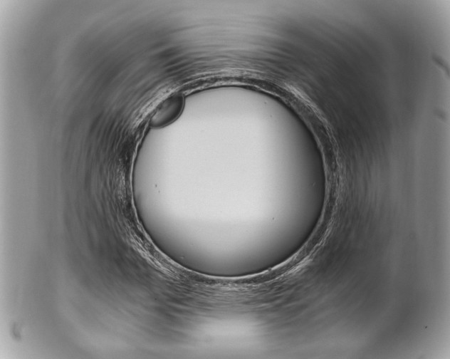 X0000101410969200807071002