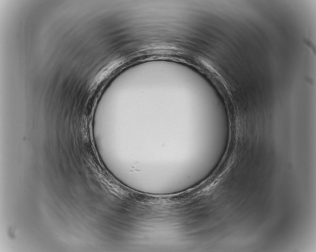 X0000101410970200807071002