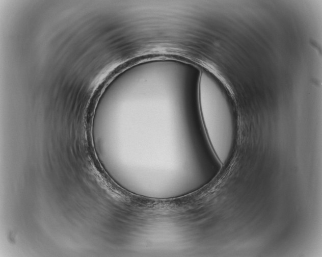 X0000101410972200807071002