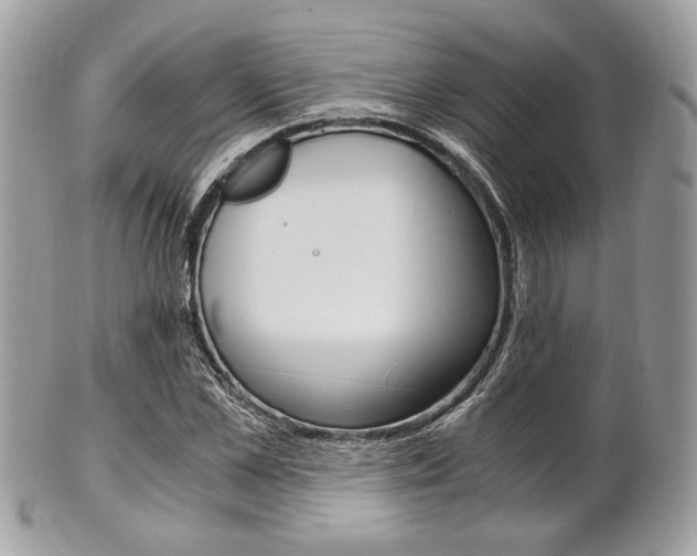 X0000101410973200807071002