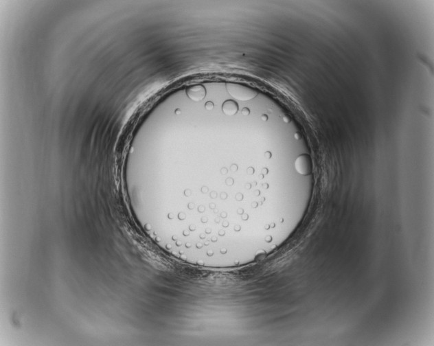 X0000101410974200807071002
