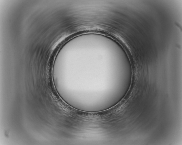 X0000101410975200807071002