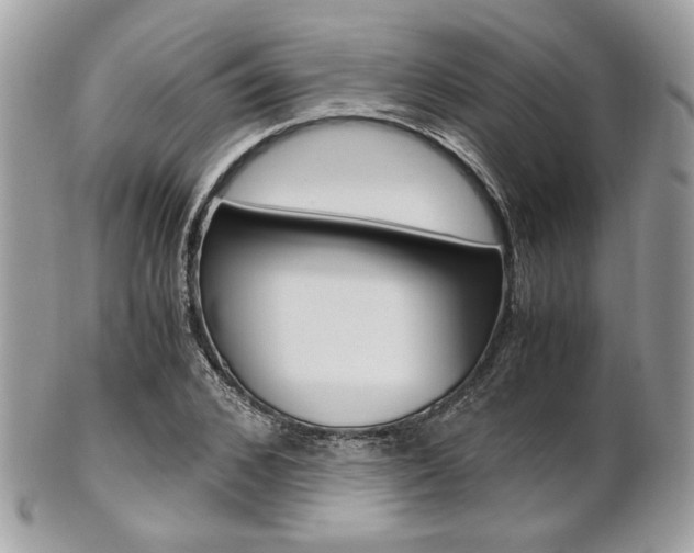 X0000101410976200807071002