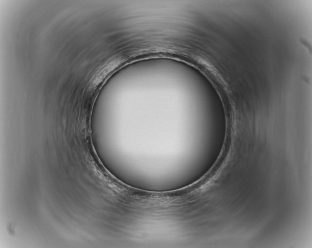 X0000101410977200807071002