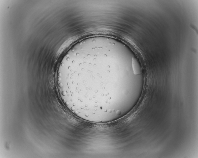 X0000101410978200807071002