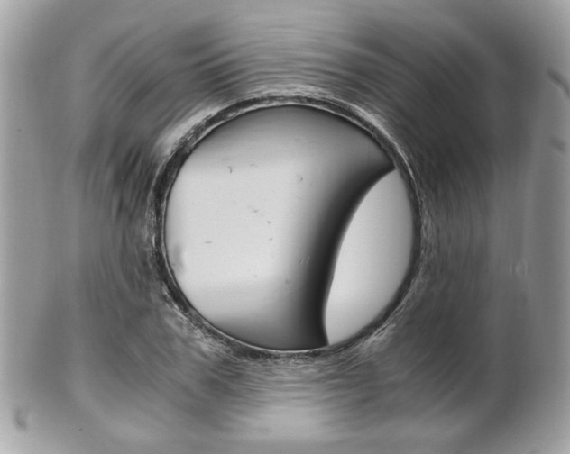 X0000101410979200807071002