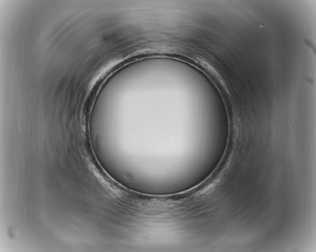 X0000101410981200807071002