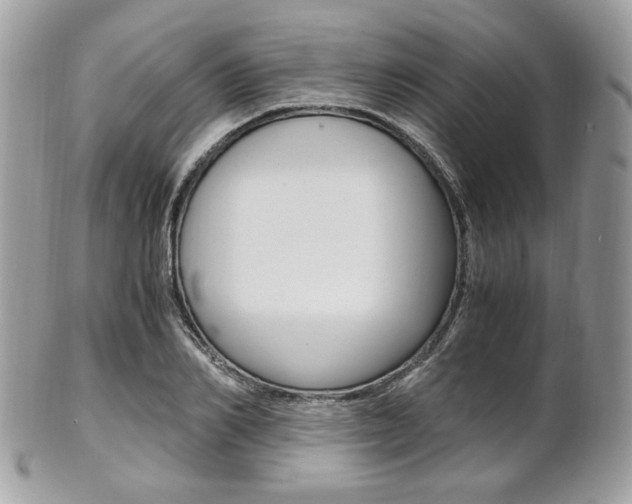X0000101410982200807071002