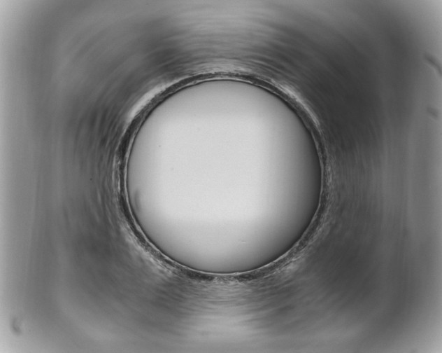 X0000101410983200807071002