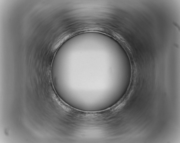 X0000101410985200807071002