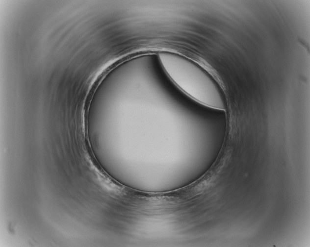 X0000101410988200807071002