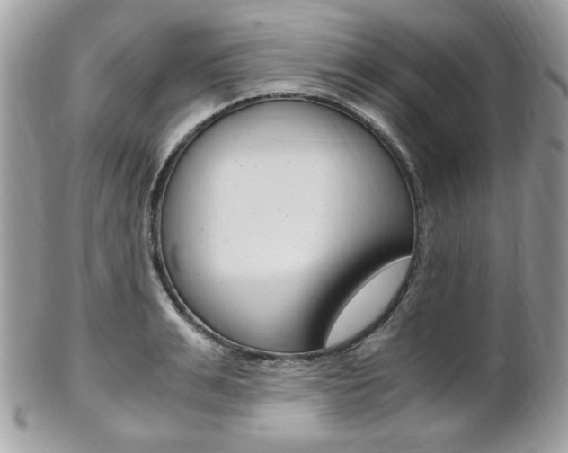 X0000101410991200807071002