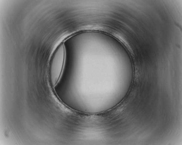 X0000101410992200807071002