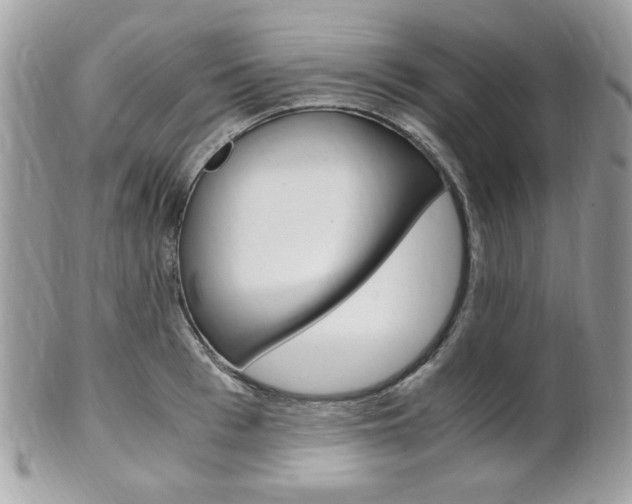 X0000101410993200807071002