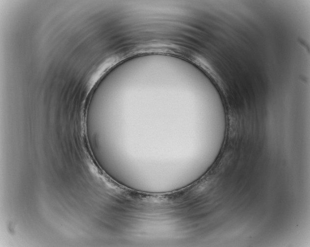 X0000101410994200807071002