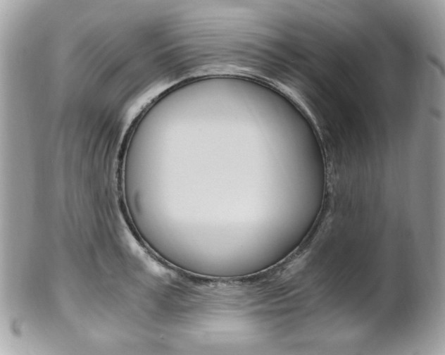 X0000101410995200807071002