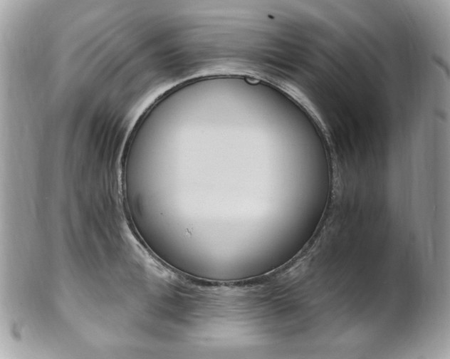 X0000101410996200807071002