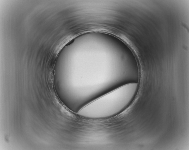X0000101411001200807071002