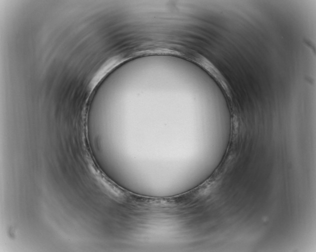 X0000101411002200807071002