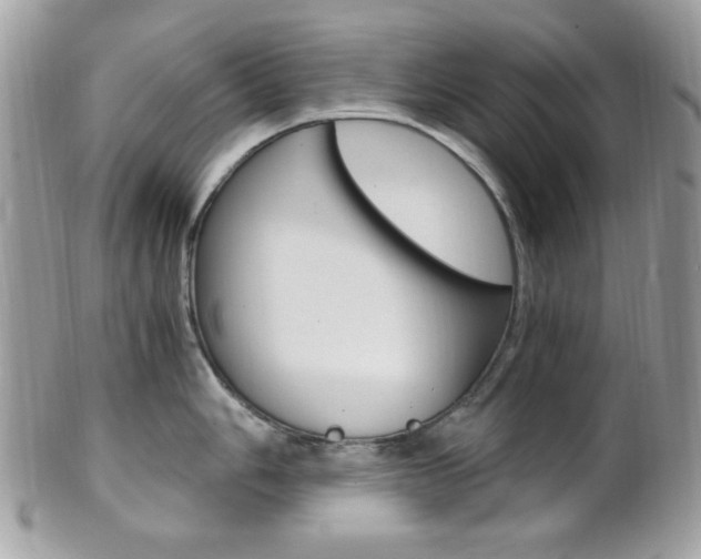 X0000101411006200807071002