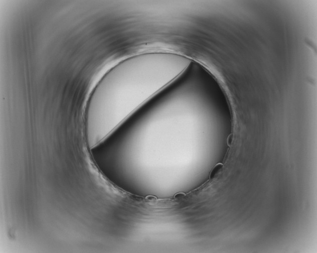 X0000101411008200807071002