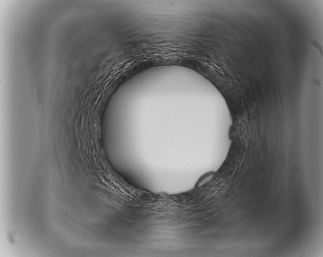 X0000101411009200807071001
