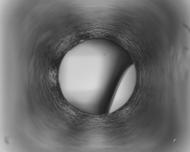 X0000101411010200807071001