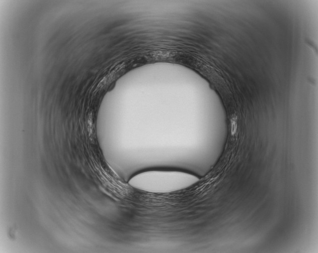 X0000101411011200807071001
