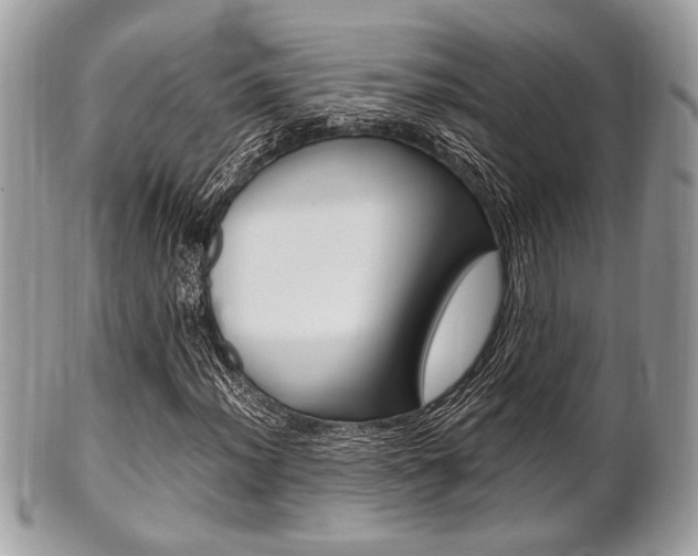 X0000101411012200807071001