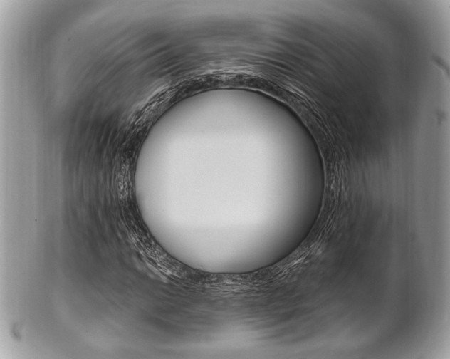 X0000101411014200807071001