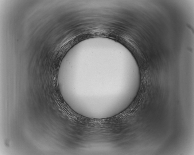 X0000101411015200807071001