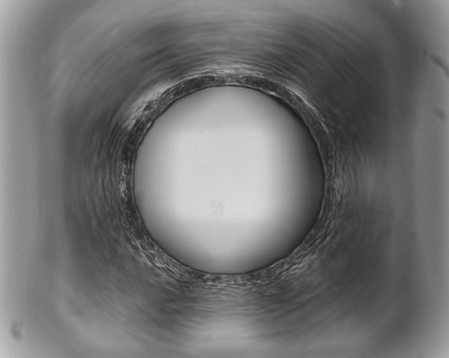 X0000101411016200807071001