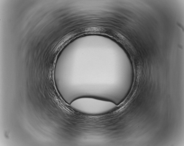 X0000101411017200807071001