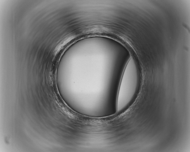 X0000101411018200807071001