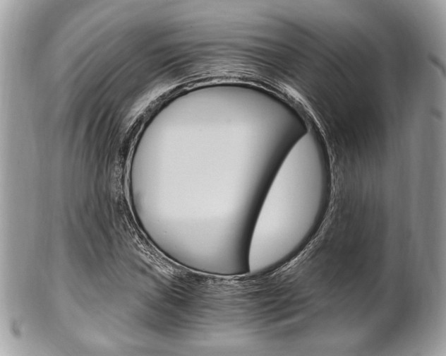 X0000101411019200807071001