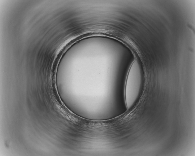 X0000101411020200807071001