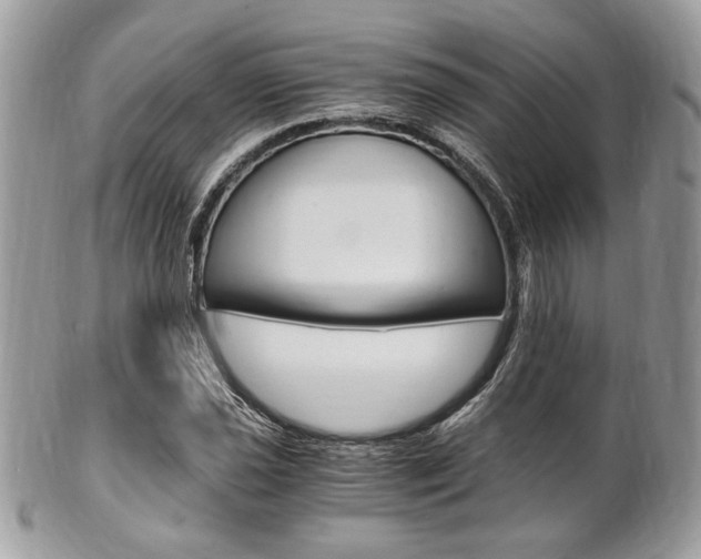 X0000101411021200807071001