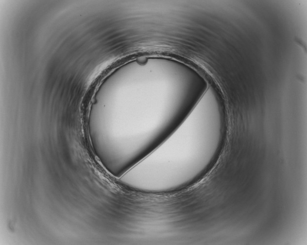 X0000101411022200807071001