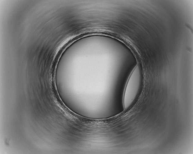 X0000101411024200807071001