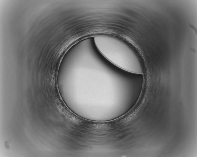 X0000101411025200807071001