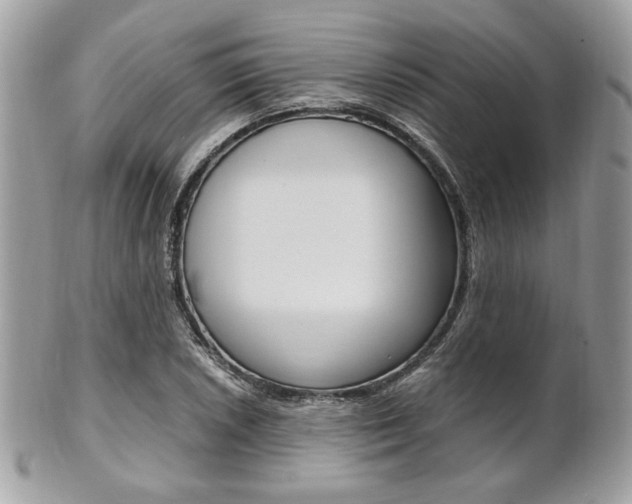 X0000101411026200807071001