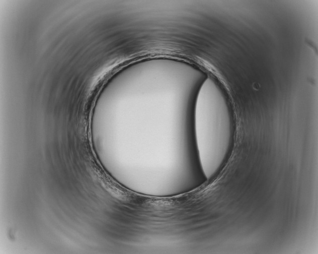 X0000101411027200807071001