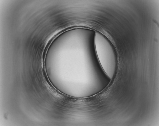 X0000101411028200807071001